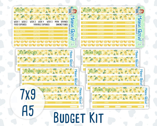 Kit 0227 - Budget - For 7x9 & A5 Planners | Notebooks - July - Lemon Grove