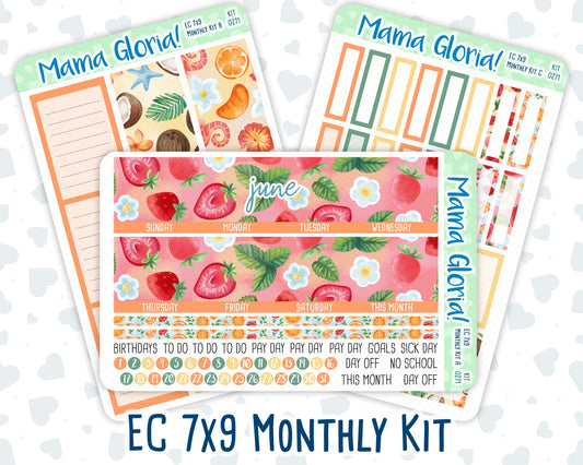 Kit 0271 - 7x9 - EC Monthly Kit - June - Strawberry Shore