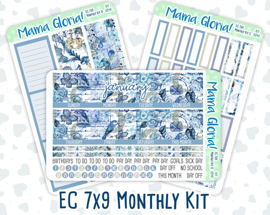 Kit 0249 - 7x9 - EC Monthly Kit - January - Icy Lace