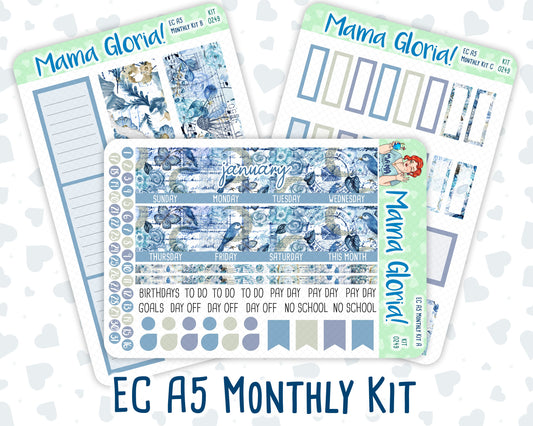Kit 0249 - A5 - EC Monthly Kit - January - Icy Lace