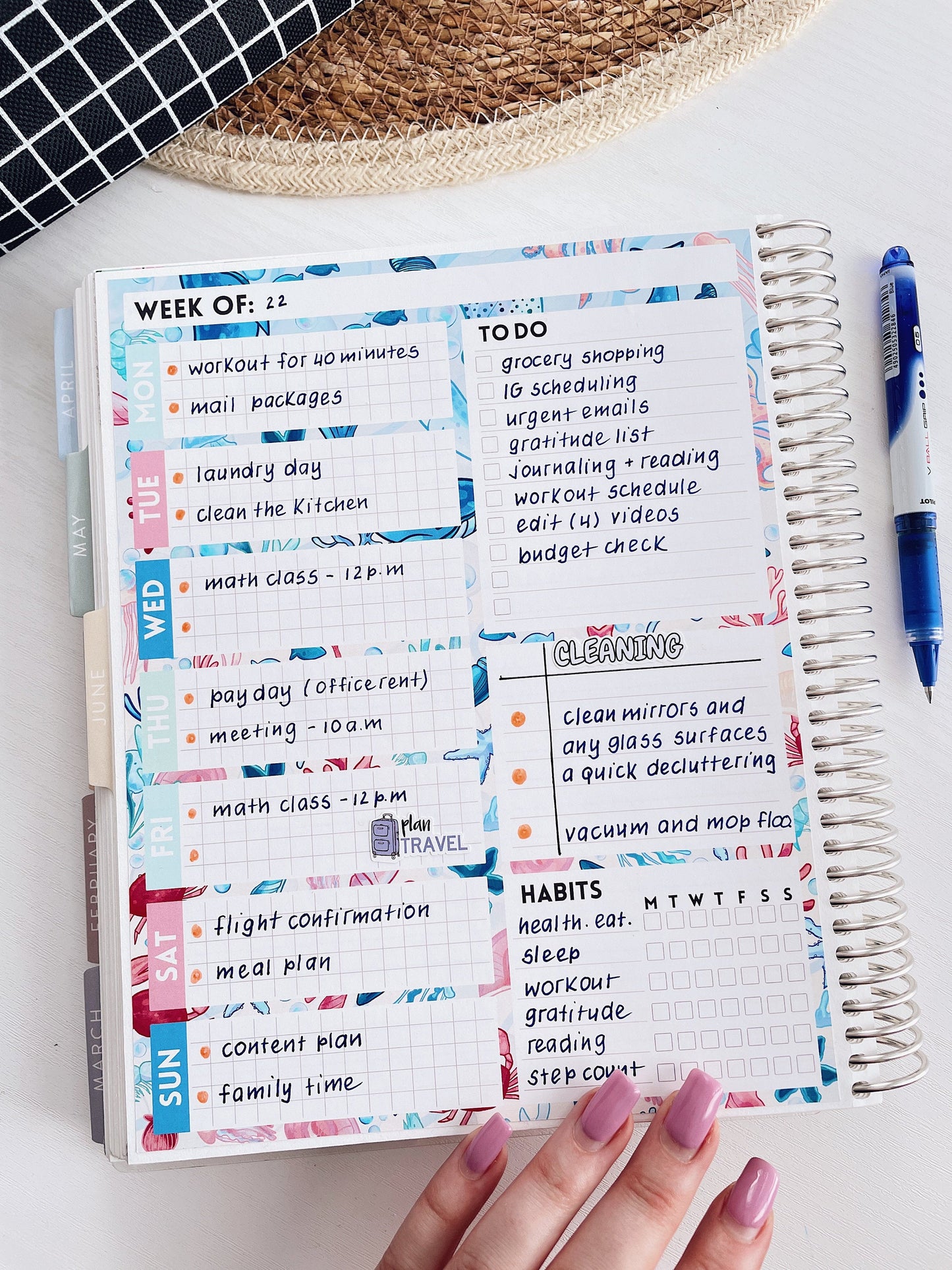 Kit 0249 - Week At A Glance - For 7x9 & A5 Planners | Notebooks - January - Icy Lace