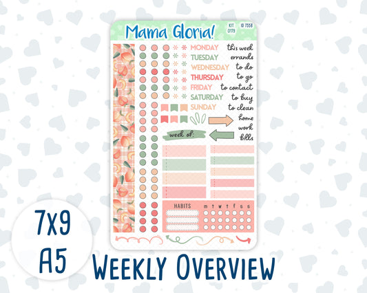 Kit 0179- Weekly Overview - Peaches - For 7x9 & A5 Planners - Notebooks - August- Summer