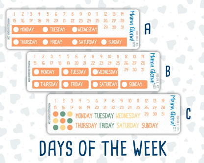 Kit 0271 - Add Ons - June - Strawberry Shore - Planner Stickers