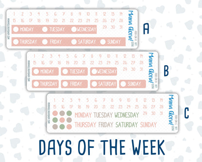Kit 0266 - Add Ons - May - Froggy Lake Picnic - Planner Stickers