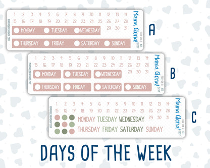 Kit 0257 - Add Ons - March - Blush Garden - Planner Stickers