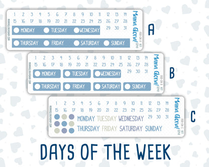 Kit 0249 - Add Ons - January - Icy Lace - Planner Stickers