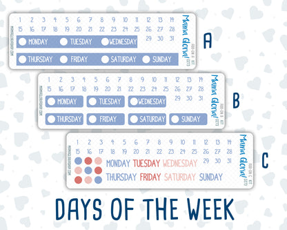 Kit 0273 - Add Ons - July - Americana In Bloom - Planner Stickers