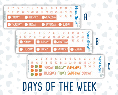 Kit 0233 - Add Ons - September - Cinnamon Days - Planner Stickers