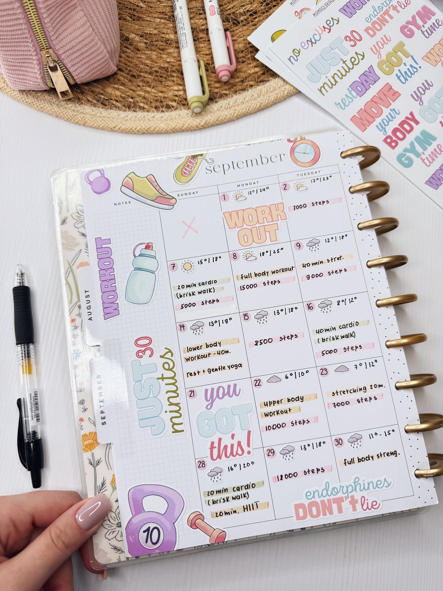 Fitness Planner Sticker Bundle