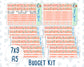 Kit 0278 - Budget - For 7x9 & A5 Planners | Notebooks - August - Oops, All Peaches