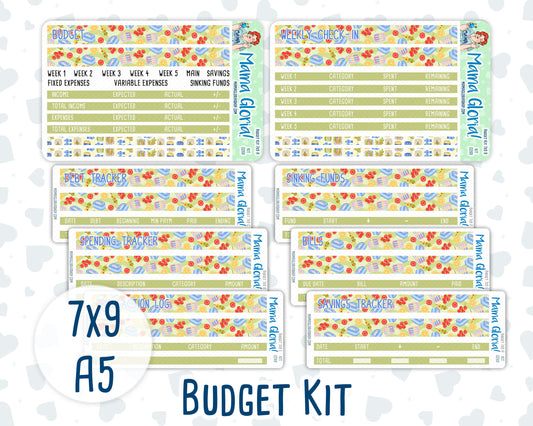 Kit 0269 - Budget - For 7x9 & A5 Planners | Notebooks - June - Dolce Mare