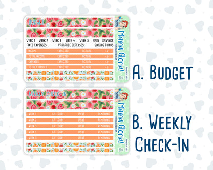 Kit 0271 - Budget - For 7x9 & A5 Planners | Notebooks - June - Strawberry Shore
