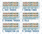 Kit 0275 - Budget - For 7x9 & A5 Planners | Notebooks - July - Tropical Safari Blush