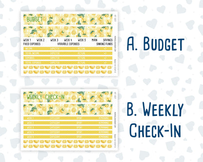 Kit 0227 - Budget - For 8.5x11 Planners | Notebooks - July - Lemon Grove