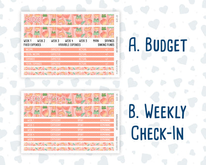 Kit 0278 - Budget - For 8.5x11 Planners | Notebooks - August - Oops, All Peaches