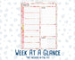 Kit 0294 - 7x9 - Daily Duo - Weekly Kit - September - Rosy Reveria