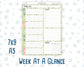 Kit 0256 - Week At A Glance - For 7x9 & A5 Planners | Notebooks - March - Froggy Luck