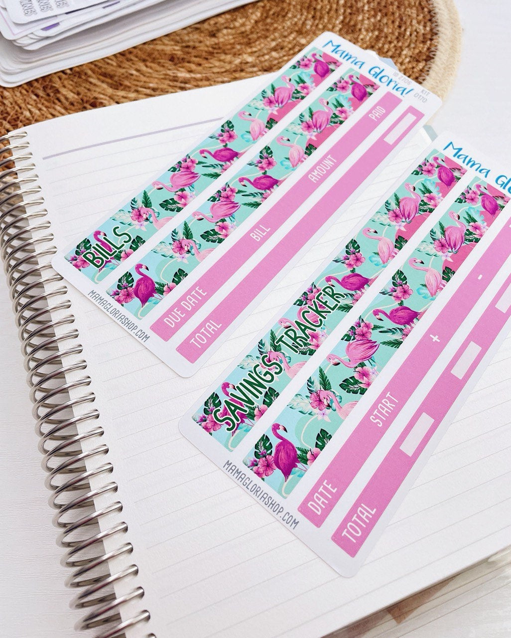 Kit 0256 - Budget - For 7x9 & A5 Planners | Notebooks - March - Froggy Luck