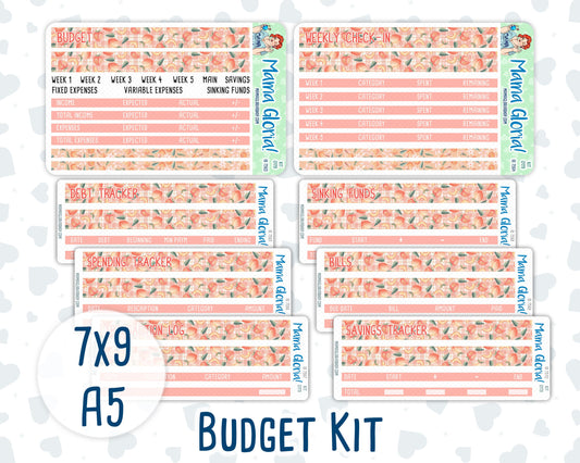 Kit 0179- Budget - Peaches - For 7x9 & A5 Planners - Notebooks - August- Summer